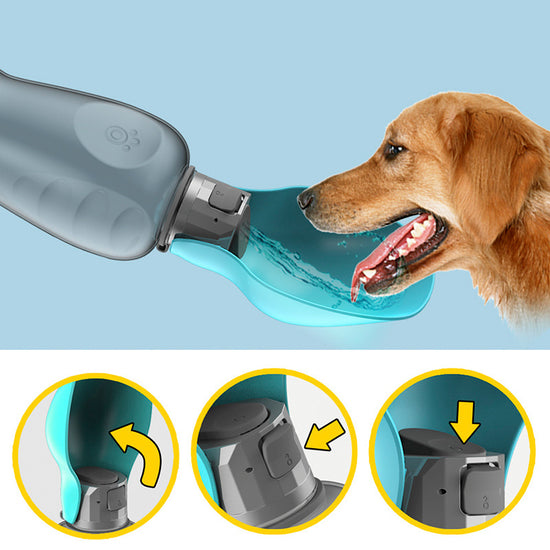 Dogs water bottle